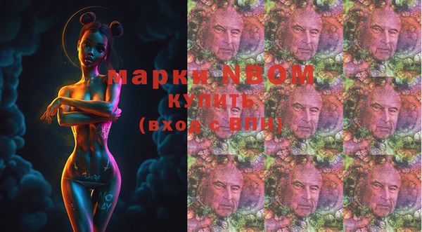 соль ск Богданович