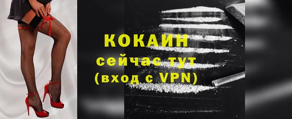 соль ск Богданович