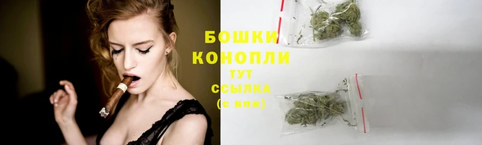 сатива Богородицк