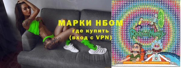 сатива Богородицк