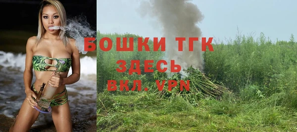 сатива Богородицк