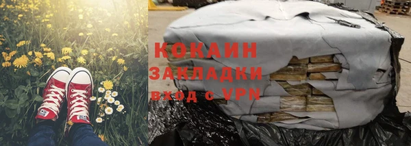 сатива Богородицк